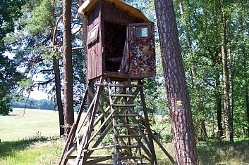 Polstrovaný posed
