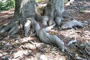 Pod vrcholem Ortelu