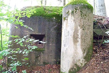 Řopík v lese