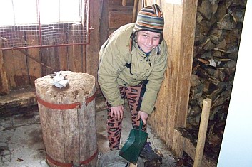 ...v kůlně borci skládají dřevo.
