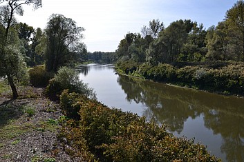 Odra u Antošovické lávky (IČ)