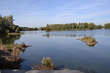 Rybníky u Koblova (IČ)