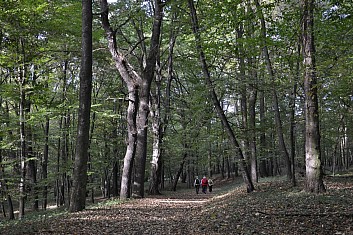 Na Landeku (IČ)