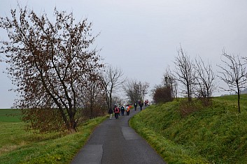 Jdeme podzimní krajinou v podzimním počasí (IČ)