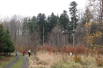 Zajdeme se podívat ke studánce (VČ)
