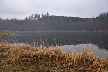 Letošní podivná zima na Čerťáku (IČ)
