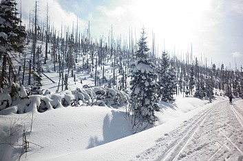 Cesta na Březník 21.2.2013