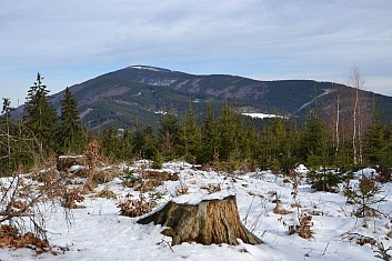 Smrk (Beskydská K2) jako na dlani (IČ)