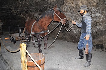 Práci v dolech ulehčovali koně