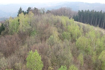 Jaro hýří odstíny zelené barvy (VČ)