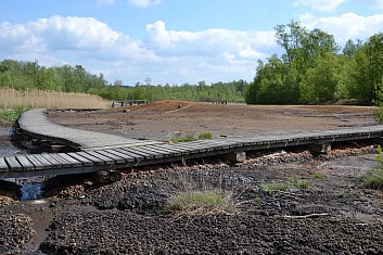 Odtud je dobře patrné, jak se křemelina vydouvá (IČ)