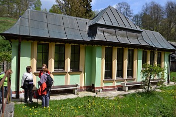 Minerální pramen v Dolních Pasekách (IČ)