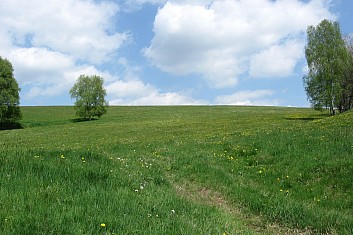 Malebná krajina u Vernéřova (VČ)
