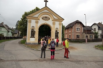 Králíky