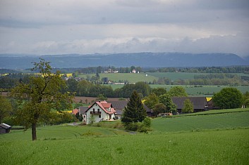 Na obzoru je vidět Loretánská kaple ve Starém Hrozňatově (IČ)