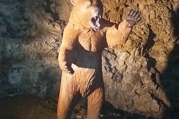 V jeskyni nás přivítalo mládě jeskynního medvěda.