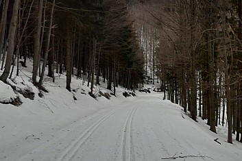 Bílá stopa