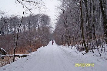 Začátek pochodu (MF)