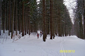 Opouštíme prošlapanou cestu (MF)