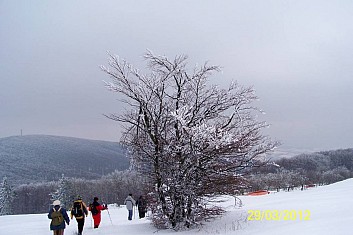 Cesta k Holubyho chatě (MF)