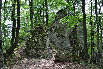 Ještě však musíme překonat nástrahy cesty (IČ)