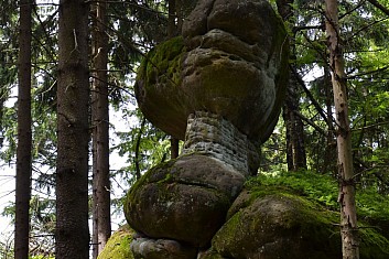 Na takové hřiby je i mačeta krátká (IČ)
