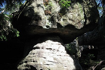 U cesty se krčí - nebo spíše tyčí - hříbek (VČ)