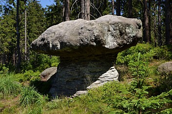 Třírohý klobouk? Nebo ocas velryby? (IČ)
