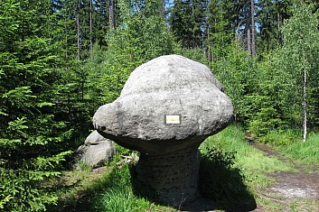 Dědeček hříbeček (VČ)