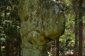 Ze země se klube se dinosaurus (IČ)