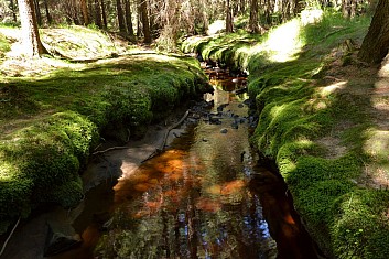 Czerwona Woda (teče z torfowiska) (IČ)
