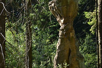 Palcát (IČ)