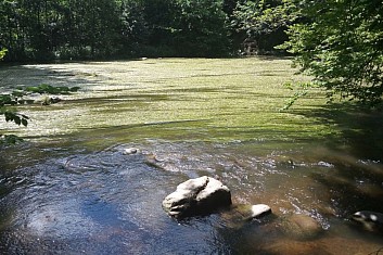 Řeka Orlice