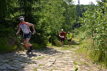 Čísla 6, 464 a 512 - 
doběhnou jako 4., 5. a 3. (IČ)