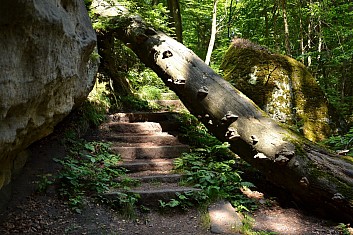 Průlezka (IČ)