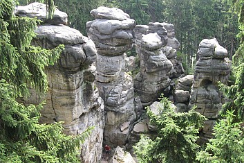 Medvědi (a pod nimi človíček) (VČ)