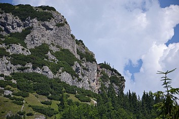 Lezou nahoru škvírou na pravé straně (IČ)