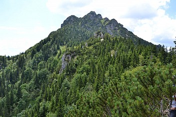Vrchol se blíží, ale jaksi pomalu (IČ)