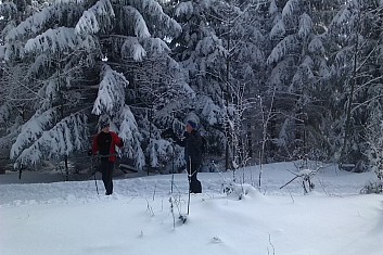 Namažeme nebo pojedeme (RM)