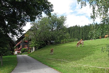 Doufejme, že silnice nekončí tady na statku (VČ)