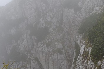 Z mlhy se vynořily skalní stěny Lantschmauern (IČ)