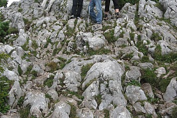 Družstvo neohrožených horalů (VČ)