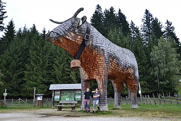Vůl Almi. Pořádný kus hovězího! (IČ)