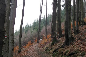 Značení je přímo luxusní (VČ)