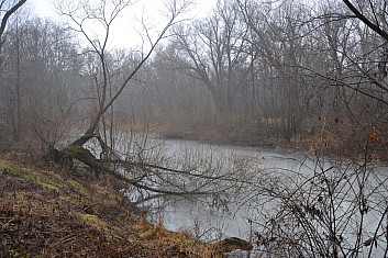 Přírodní rezervace Škrabalka