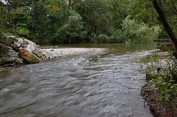 Obnovou lužního lesa u řeky Mürz se zabrání povodním (IČ)