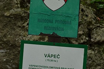 A hned víme, kam vlastně jdeme (IČ)