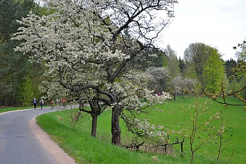 Putujeme jarní krajinou (IČ)