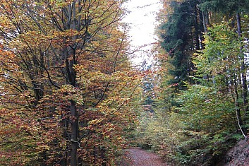 Podzim v přírodě je krásný (VČ)