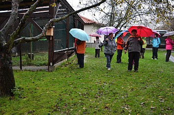 Pokračujeme v prohlídce (IČ)
